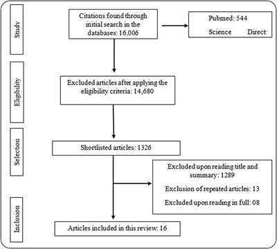 Antinociceptive Activity of Chemical Components of Essential Oils That Involves Docking Studies: A Review